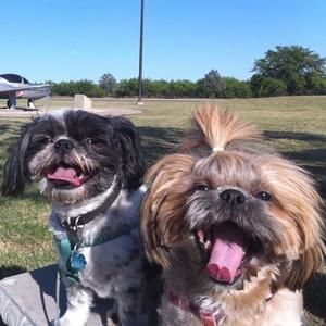 Meet your Posher, Marie